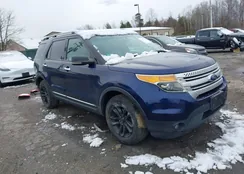 1FMHK8D84BGA92487: 44451561