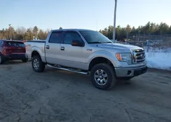 1FTPW14V59FA39525: 44453851