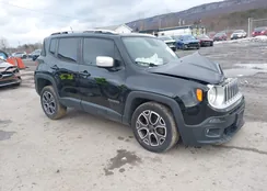 ZACCJBDTXFPC31310: 44453977