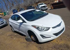 5NPDH4AE3FH604004: 44454038