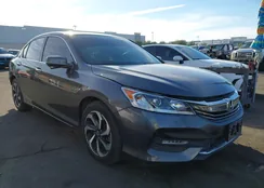 1HGCR3F83HA025306: 44453415