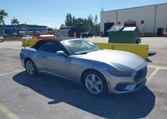 1FAGP8UHXT5102959: 44453599