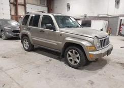 1J4GL58K66W287014: 44454741