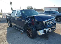 1FTPW12V07KC70811: 44454767