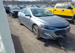 1G1ZD5ST3SF156185: 44454899