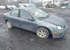 1P3AS46C11D304147: 44454958