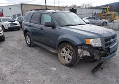 1FMCU5K32BKC27814: 44454479