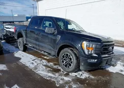 1FTFW1E82NFB42075: 44454531