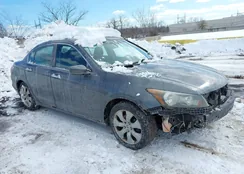 1HGCP3F86AA018829: 44454618