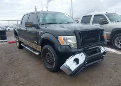 1FTFW1ET8DFB08368: 44455942