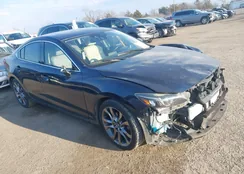 JM1GJ1W53G1451898: 44456155