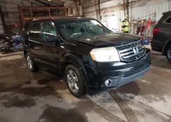 5FNYF4H59EB028574: 44455351