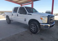 1FT7W2BT4GEA19809: 44455515