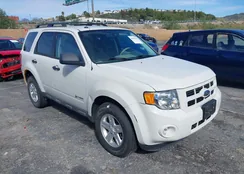 1FMCU49309KC35369: 44455695