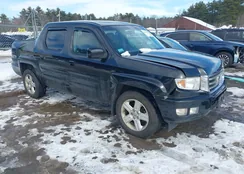 5FPYK1F52CB455189: 44456932