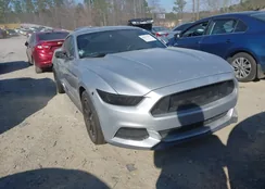 1FA6P8AM1F5347361: 44457251