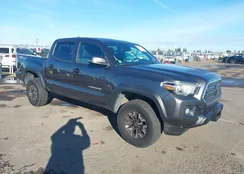 3TMCZ5AN0JM169640: 44458245