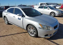 1N4AA5AP3DC833439: 44458288