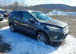 1FMCU9HD7JUA25058: 44457385