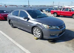 1HGCR2F7XDA066852: 44457512