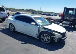 1N4AA5AP9CC849904: 44457639