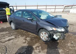 19XFB2F51FE085515: 44458463