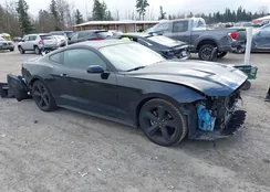 1FA6P8TH0M5127108: 44459781