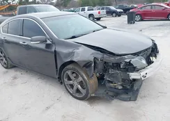 19UUA9F54BA001429: 44460017