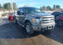 1FTFX1EF6EFB21242: 44459380