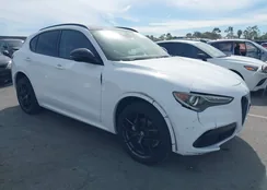 ZASPAKBN7M7D17682: 44459408