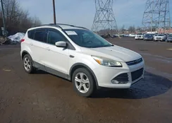 1FMCU9GX9DUD75999: 44459488