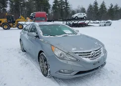 5NPEC4AC2DH598212: 44459589