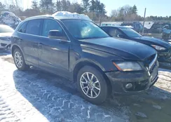 WA1CFAFP5BA097550: 44459662