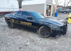 2C3CDXAT1PH519541: 44459726