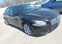 1N4AA5AP9EC489116: 44460789