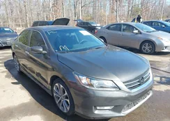 1HGCR2F50DA226364: 44460813