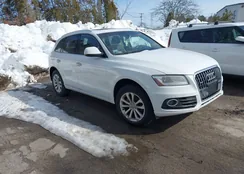 WA1LFAFP6FA070556: 44460935