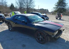 2C3CDYAG1DH501738: 44460951