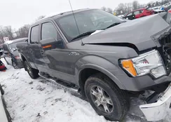 1FTFW1EF5CFC23406: 44461108