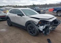 3MVDMBBM6RM616473: 44461191