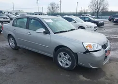 1G1ZT51F56F115545: 44460459