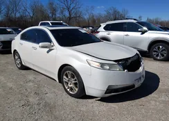 19UUA86559A017062: 44460474