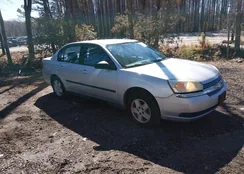 1G1ZS52F75F199156: 44462044