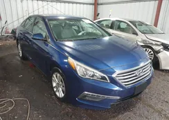 5NPE24AF0FH210166: 44461387