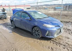 2T1BURHE4HC904565: 44462748