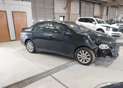 2T1BU4EE9AC467353: 44462777