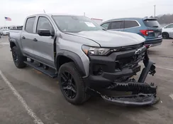 1GCPTEEK0R1126962: 44463961