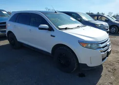 2FMDK4KC8BBA97553: 44463573