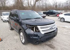 1FM5K7D83FGB17205: 44464768