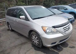 5FNRL38608B401280: 44464983